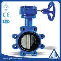 Worm gear clamping type metal hard seal butterfly valve